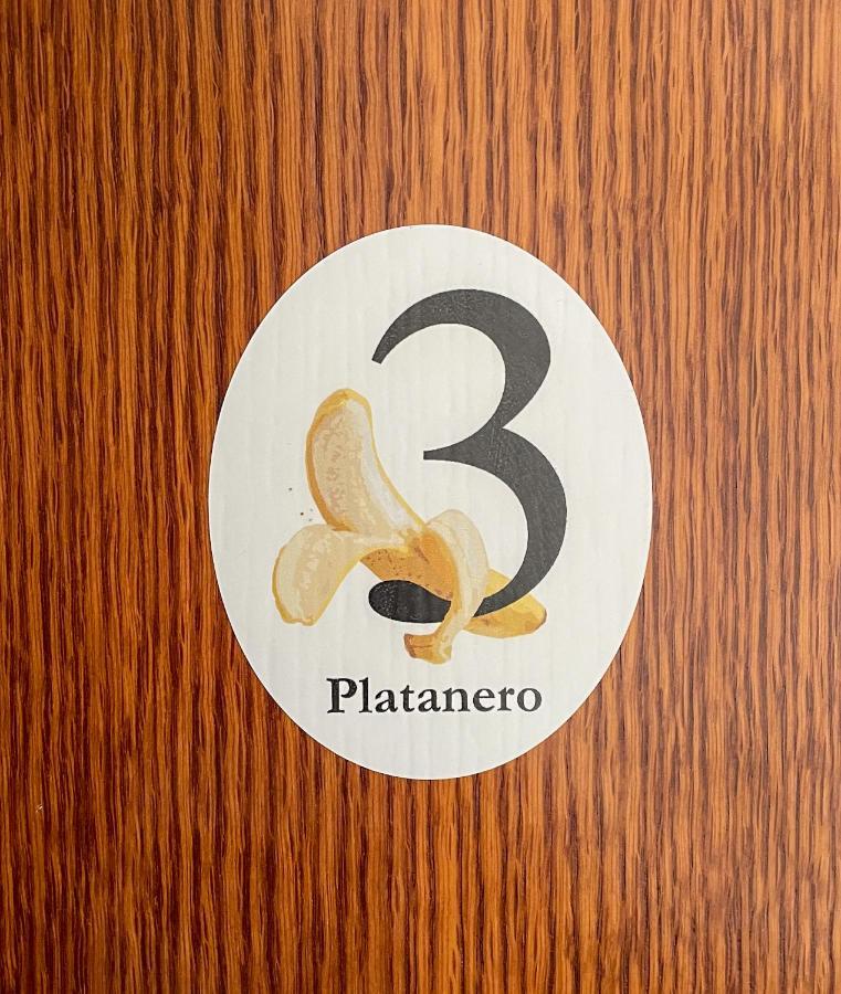 Canary Bio Tenerife *