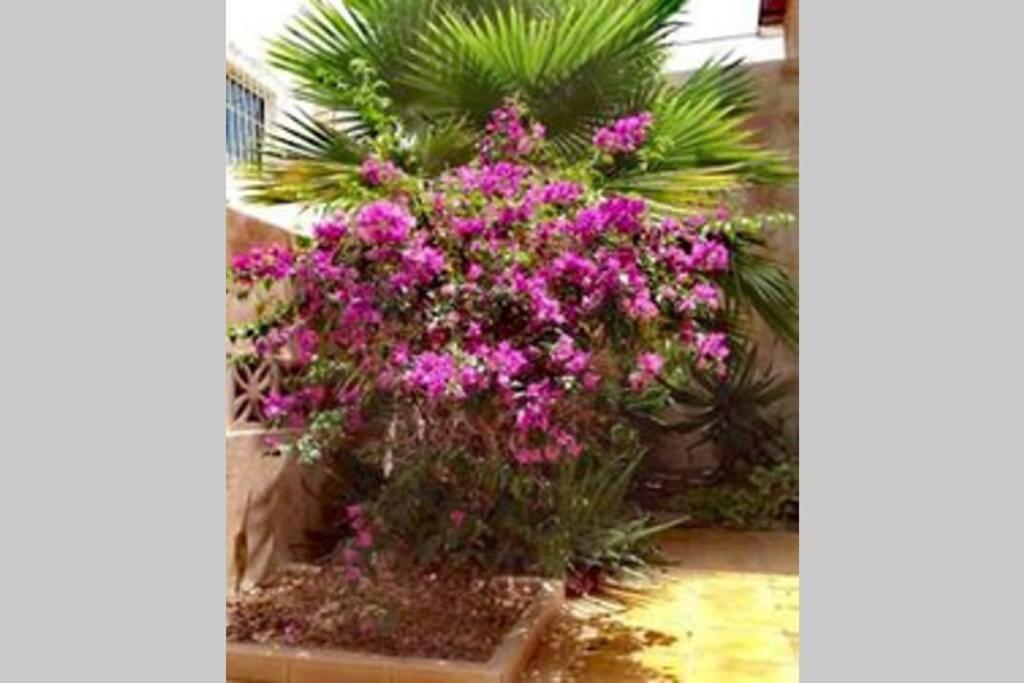 Semi-detached Sea Views, Huge Terrace, Close Villa