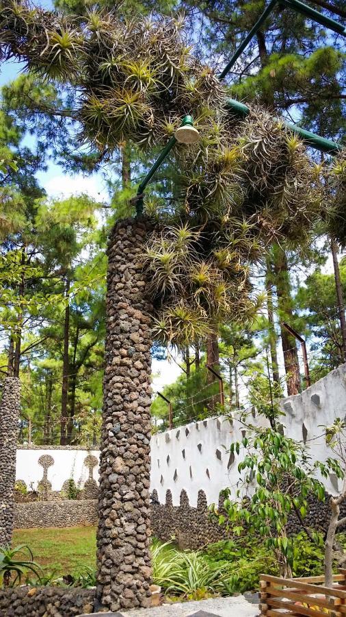 La Casa Encantada Del Bosque Hébergement de vacances Icod De Los Vinos
