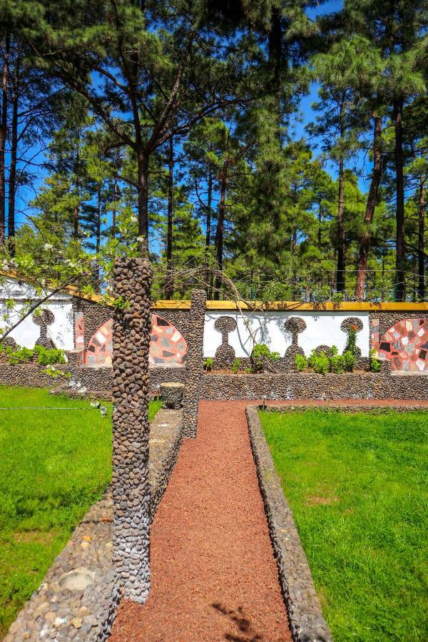 La Casa Encantada Del Bosque