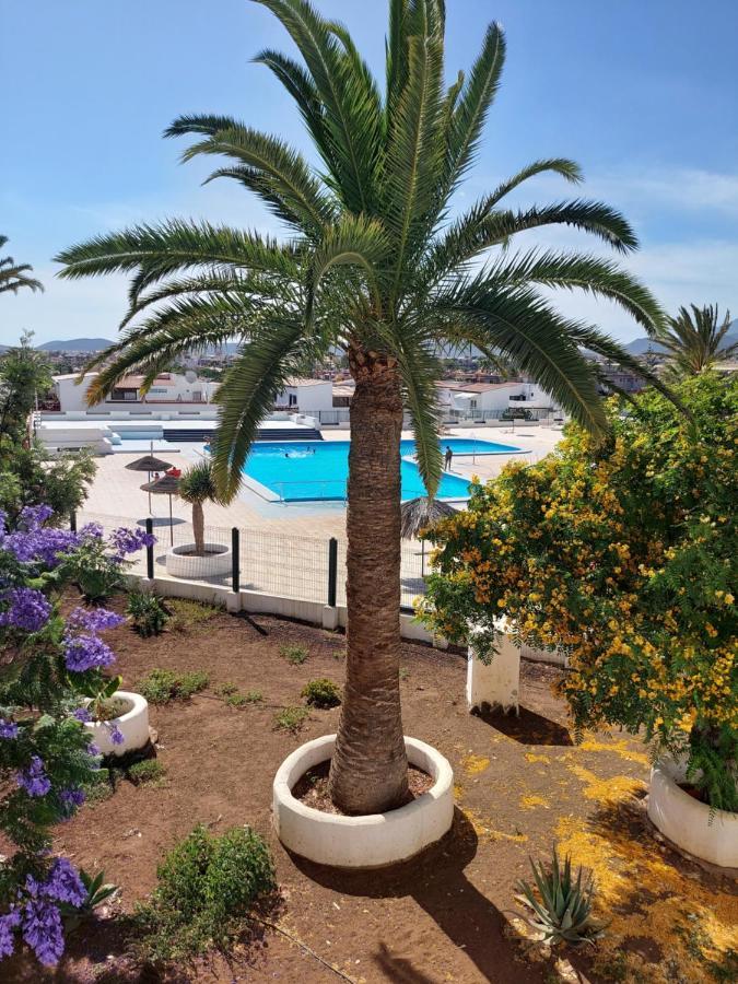 Charlotte Up Apartment Arona (Tenerife)