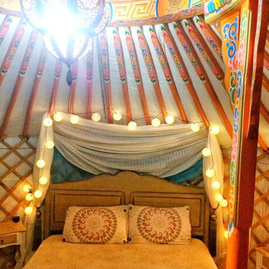 Yurta De Arico * Arico Viejo