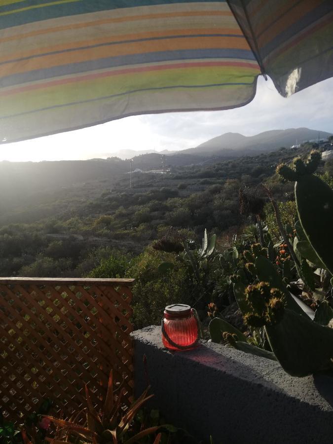 Luxury tent Yurta De Arico *