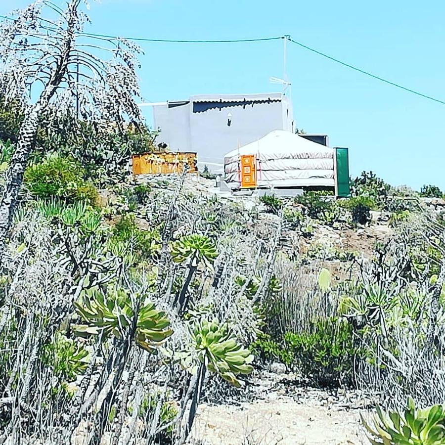 Yurta De Arico Luxury tent *