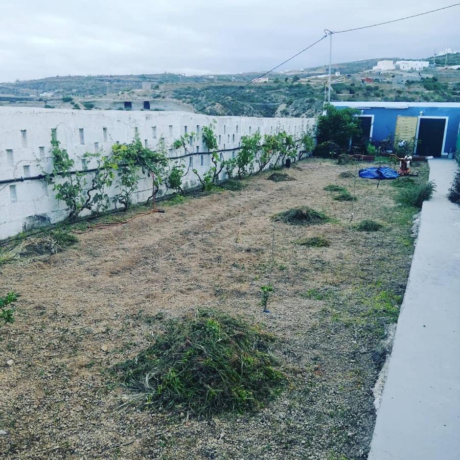 Yurta De Arico * Arico Viejo