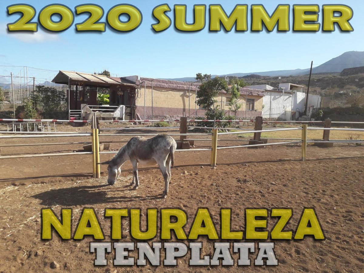 Сasa de vacaciones Tenplata