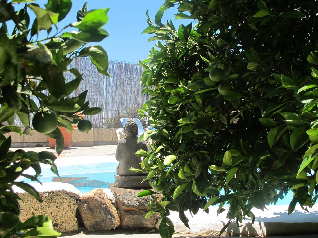 Casas Alberto Teleworking (adults Only) *