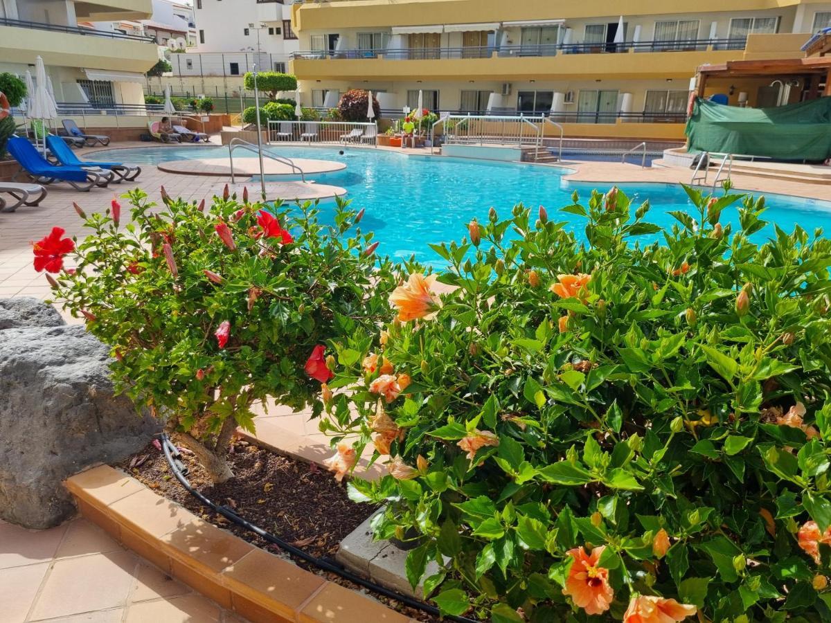 Ocean View Apartment, Costa Adeje,tenerife