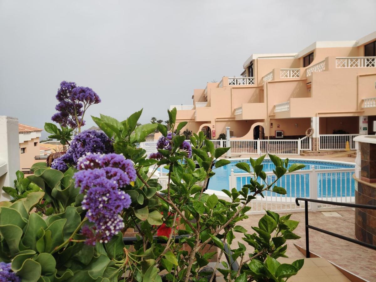 Appartement Golden Paradise Seaview