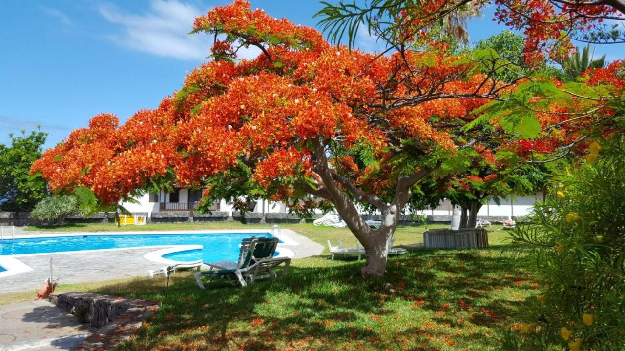 Apartamento Cerca De La Playa