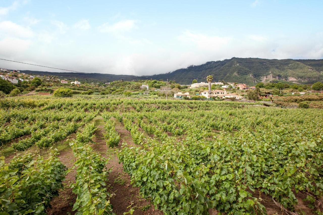 Casa La Chocita