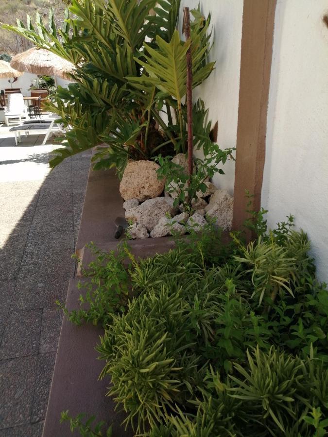 Apartamento Abi&lei Vv Candelaria