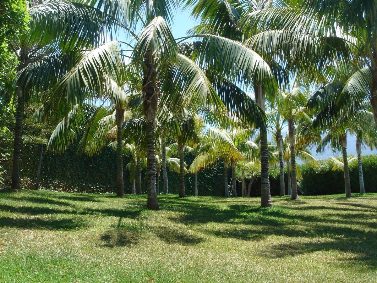 Villa/farmhouse Jardin Botanico Villa