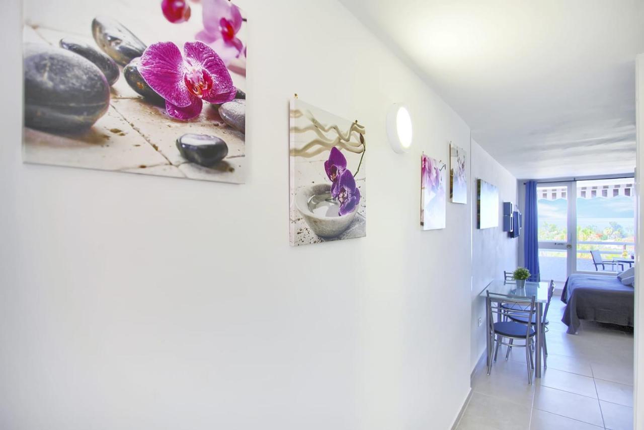Appartement With Sea View In Borinquen *