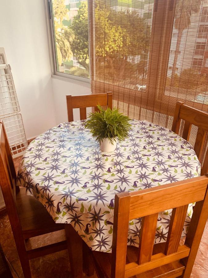 Verdellada Aeropuerto Norte Apartamento La Laguna (Tenerife)