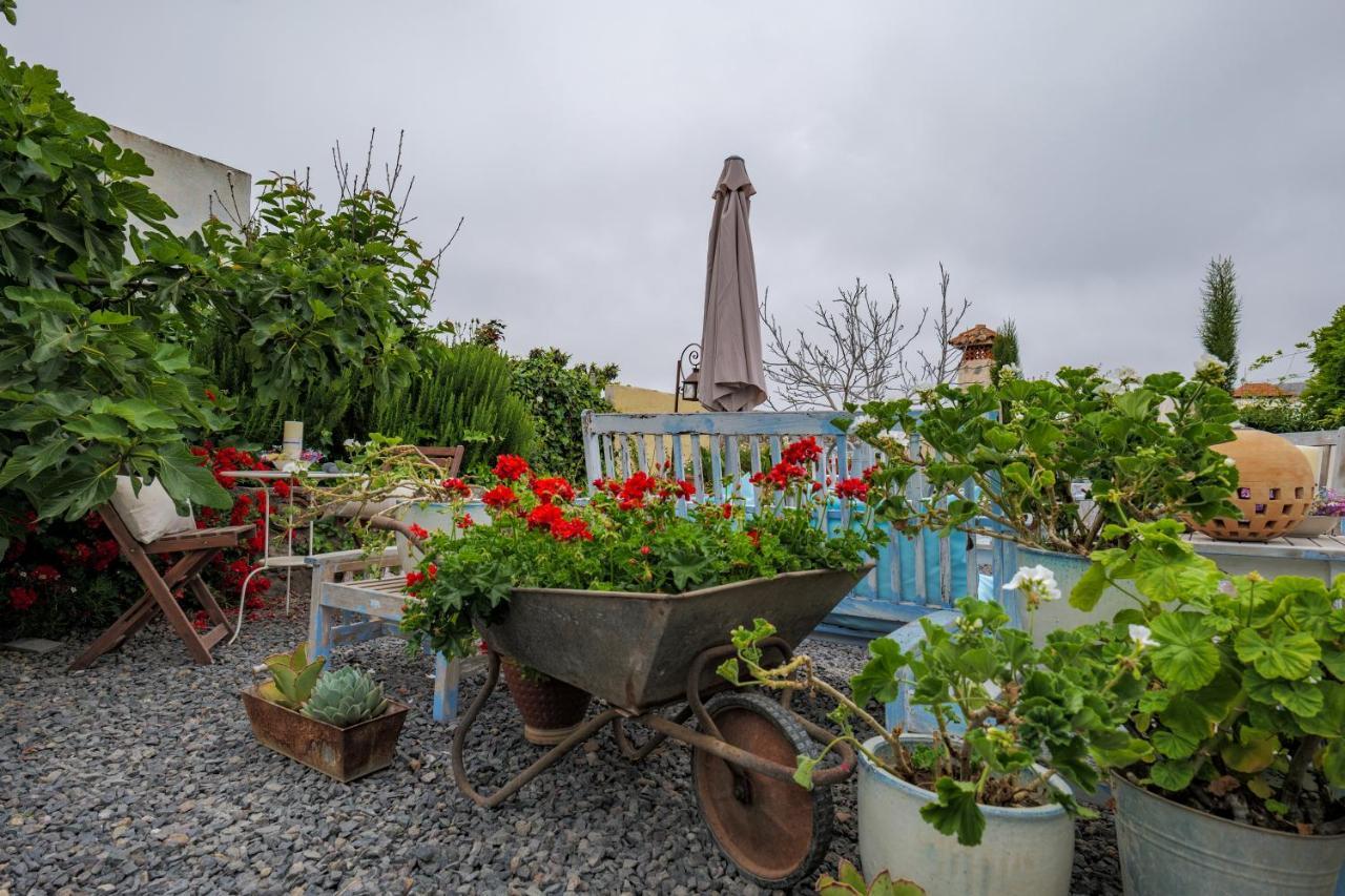 Casa Jacinta Con Jacuzzi Séjour à la campagne Costa Adeje (Tenerife)