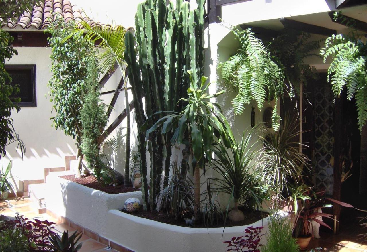 Apartment Aptos Monasterio De San Antonio 6 Icod De Los Vinos