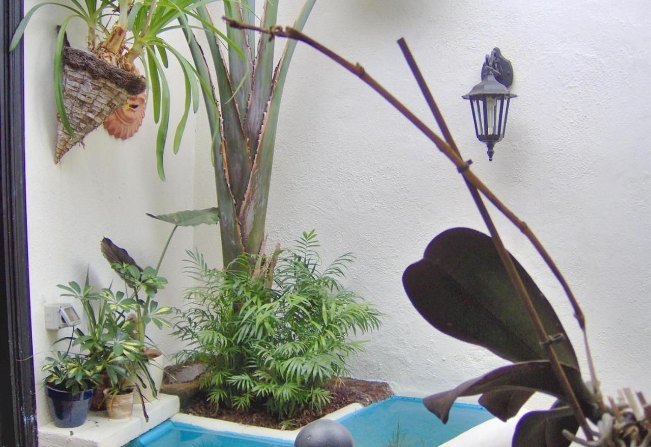 Apartamento Aptos Monasterio De San Antonio 7 *