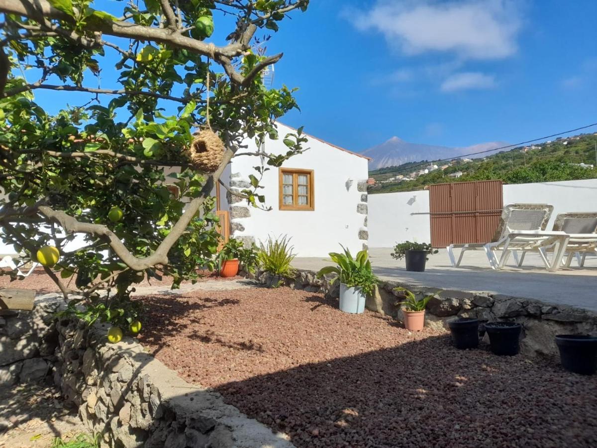 La Casa Del Bisa * Genovés