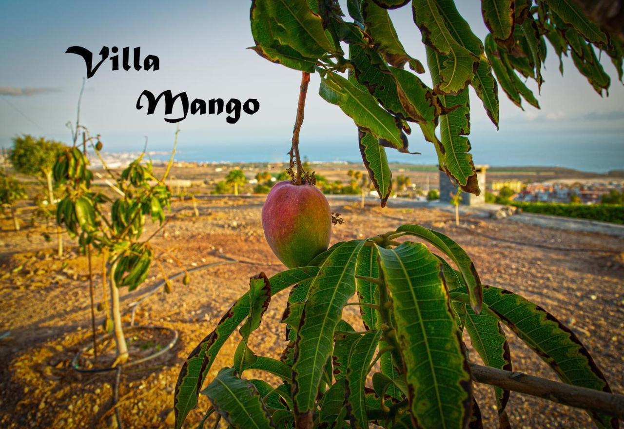 Mango, Adeje, Sea View Villa