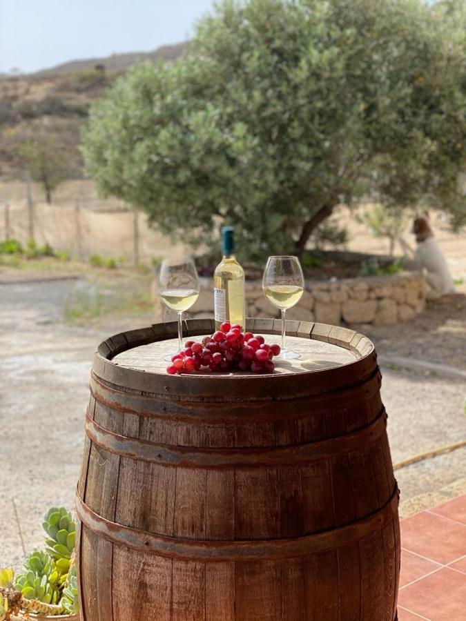 Holiday home Finca Rural En Arico By Paramount Holidays *