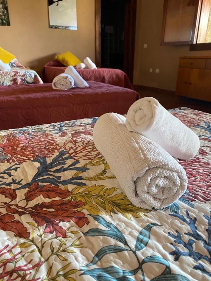 Finca Rural En Arico By Paramount Holidays