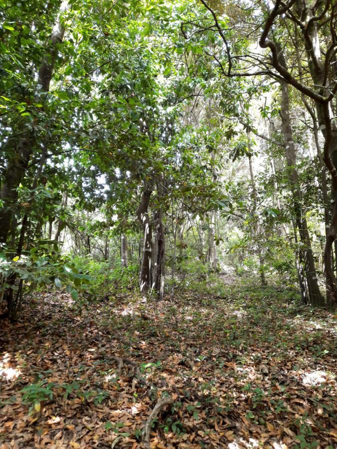 Agroturismo Finca La Jaraca *