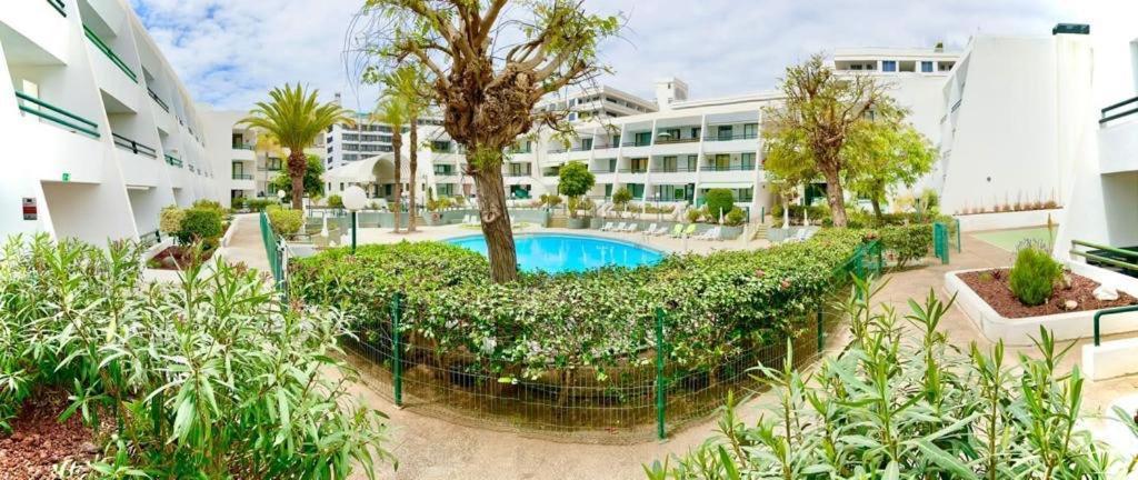 Apartment Optimist Playa de las Americas (Tenerife)
