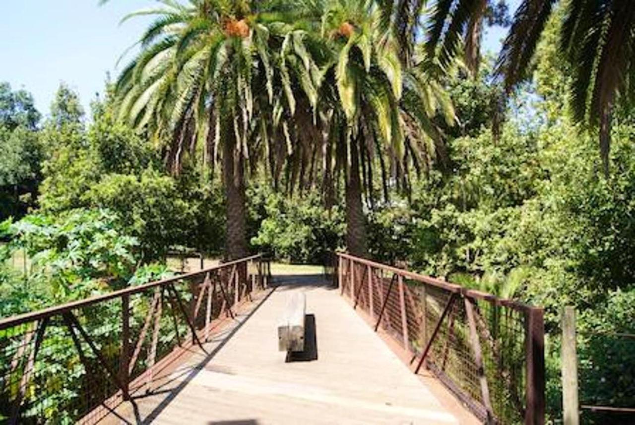 Comfortable With Sea View In 50 M² + Pool Apartamento
