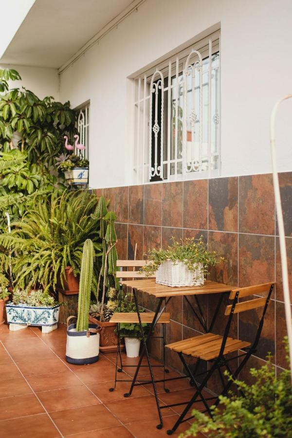 De La Candelaria Ii Appartement Santa-Cruz de Ténérife