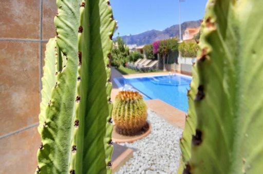 Magnifica Happy Holidays Con Piscina En Gigantes * Puerto de Santiago (Tenerife)