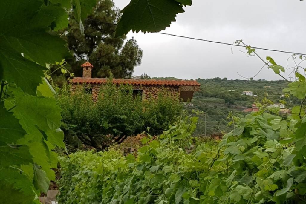 La Tagora Conect With The Nature & Relax Chalet Icod De Los Vinos