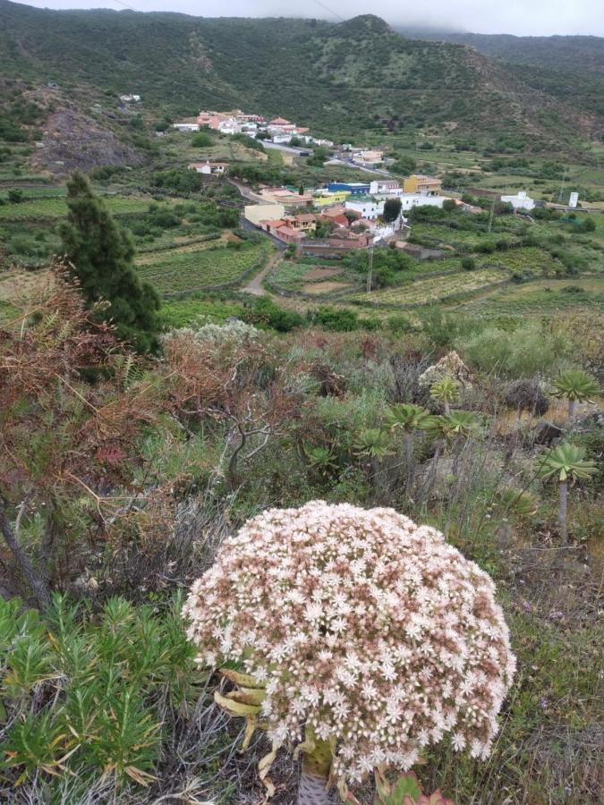 Holiday home Casa La Canada