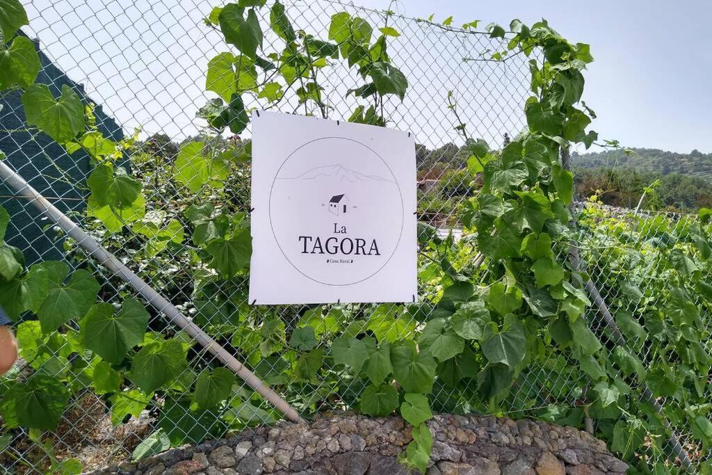 La Tagora Conect With The Nature & Relax