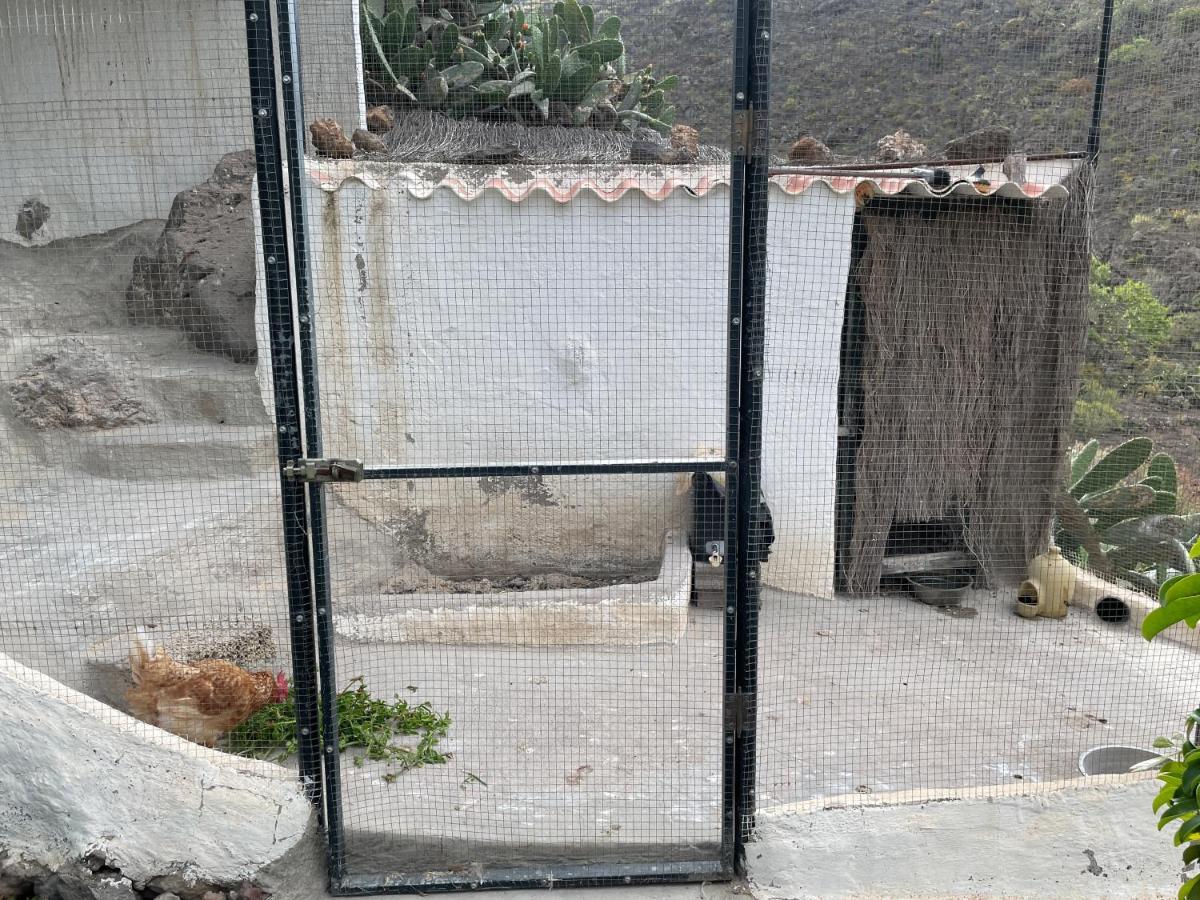 Casa Azul Guía de Isora