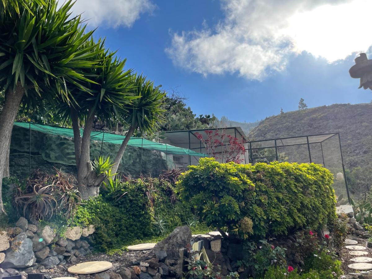 Casa Azul