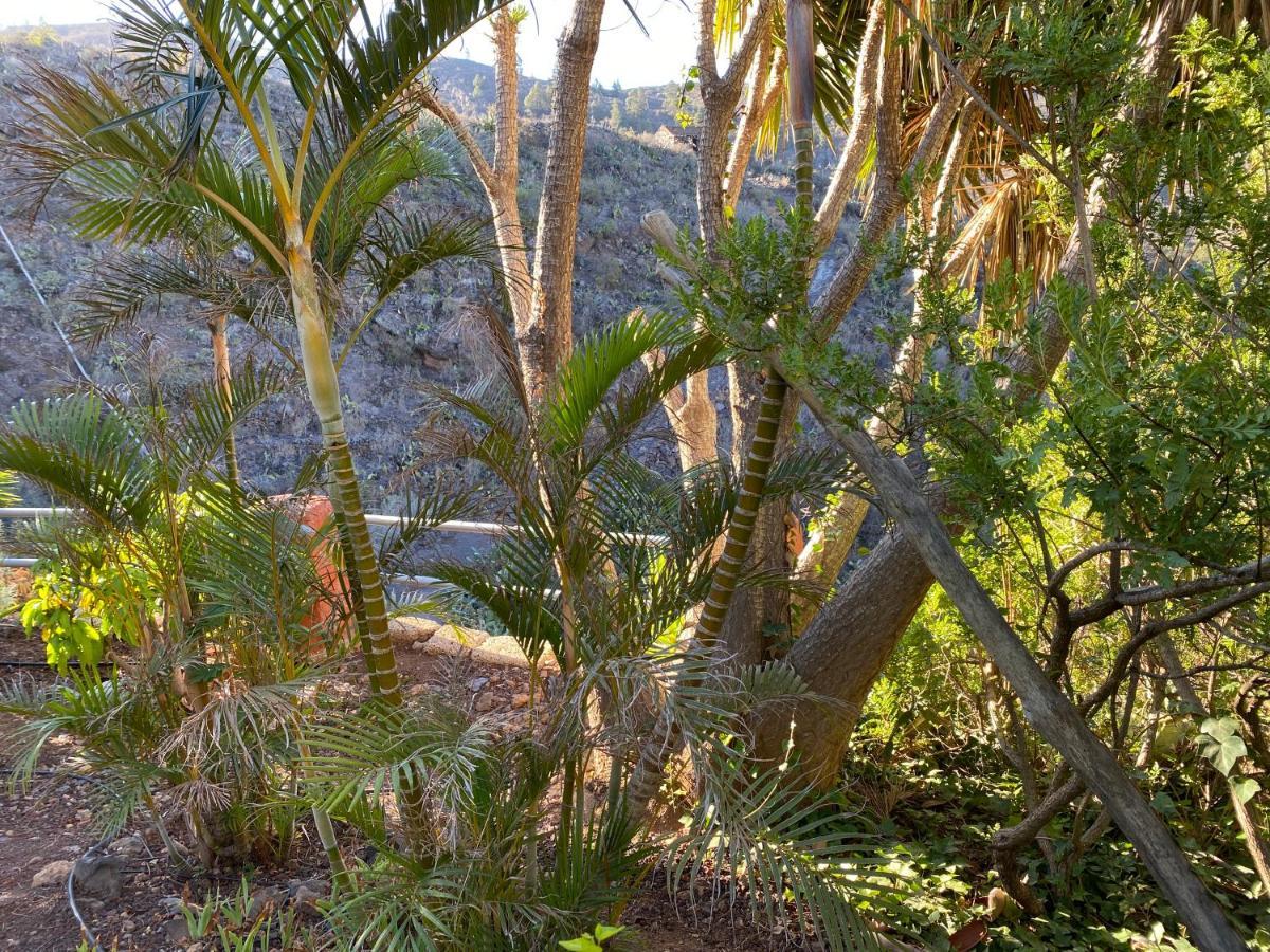 Casa Amarilla Hébergement de vacances Guía de Isora
