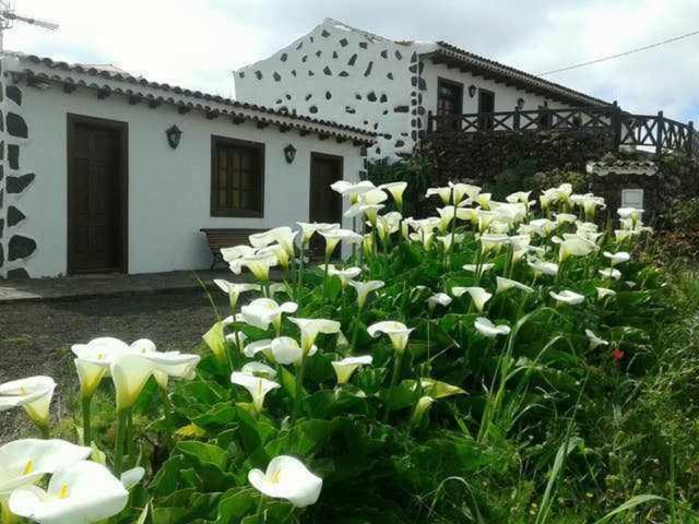 Monte Del Agua Country house *