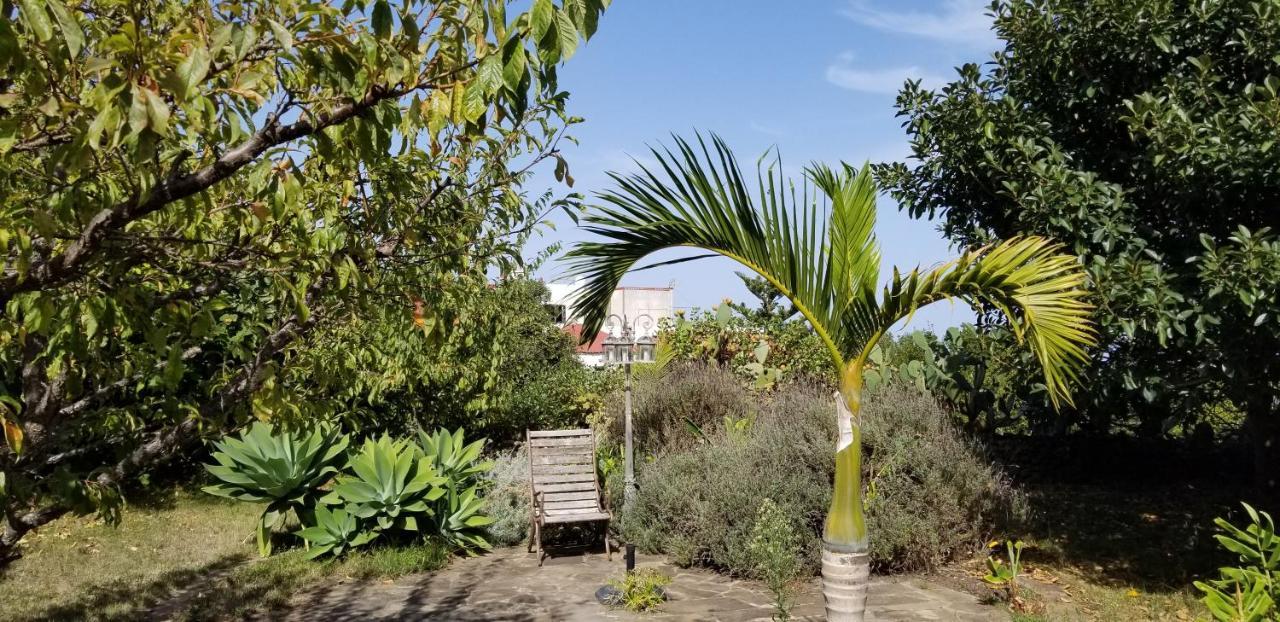 Apartamento La Casita De La Vega Icod De Los Vinos