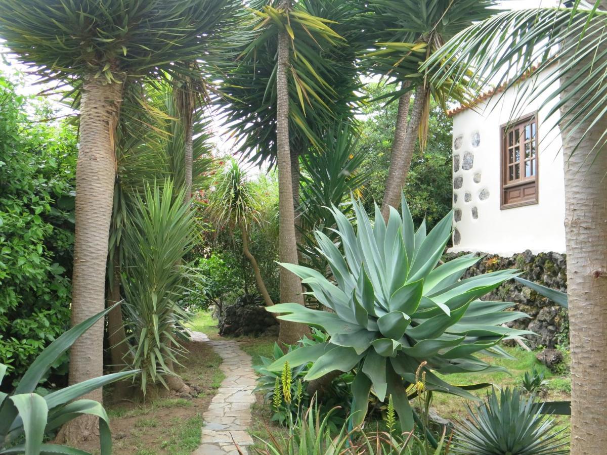 La Casita De La Vega Apartamento Icod De Los Vinos