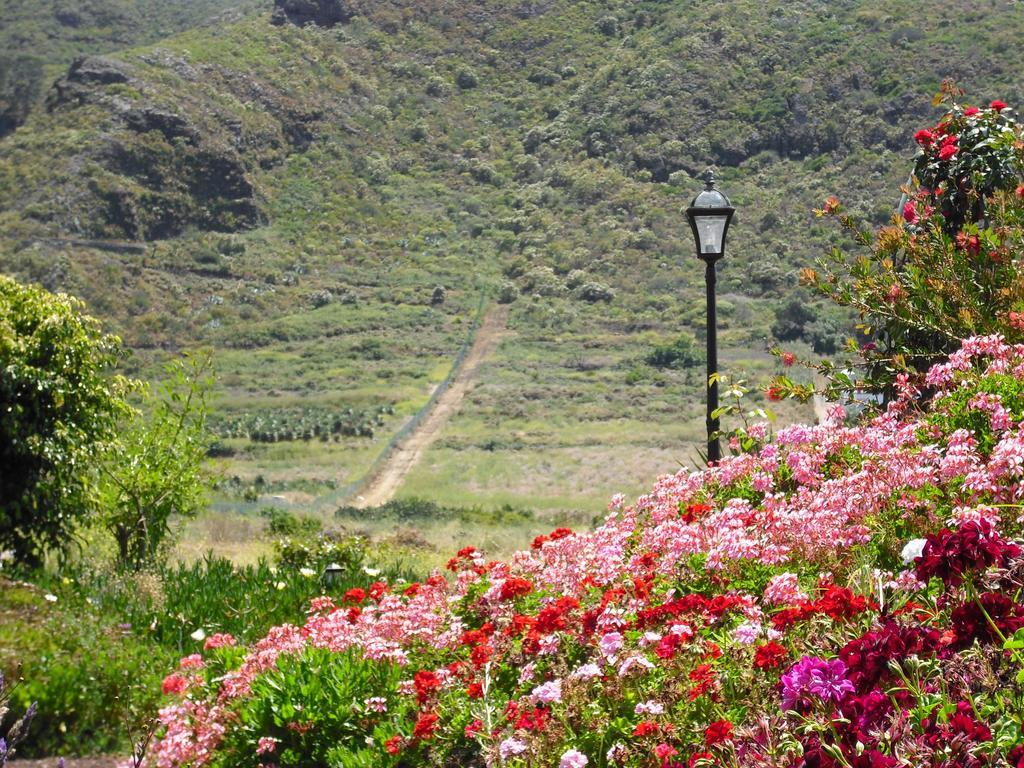 Appartement El Picacho In The Countryside 2 Km From The Tejina