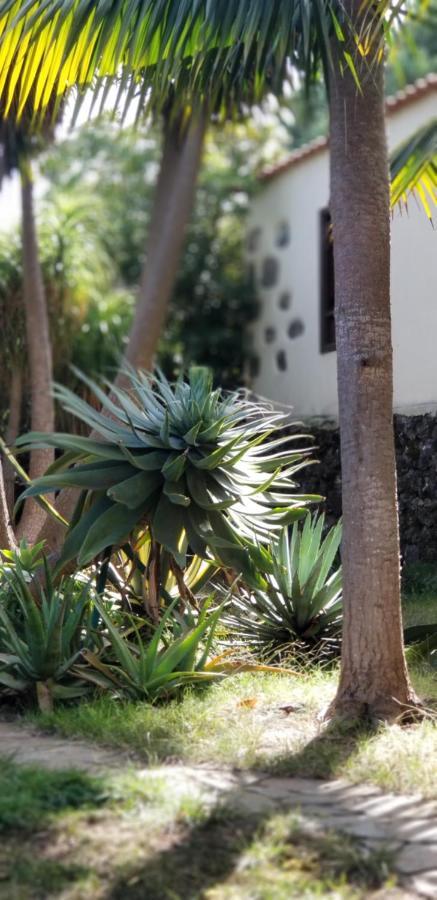 Apartamento La Casita De La Vega *