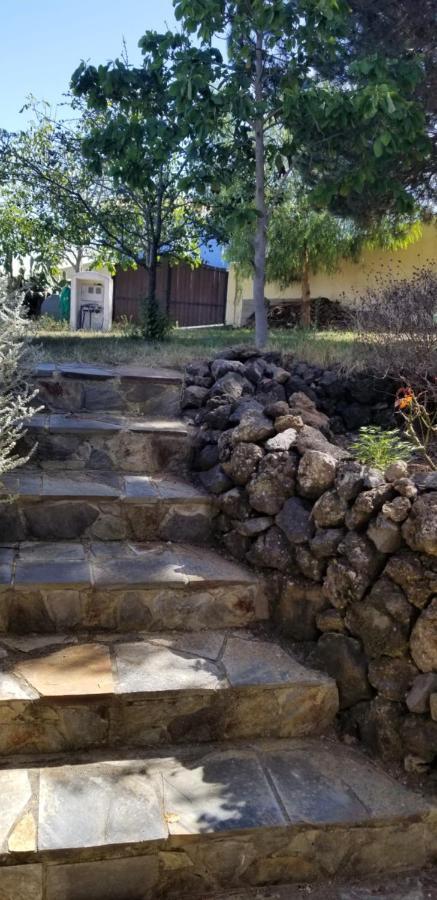 La Casita De La Vega * Icod De Los Vinos