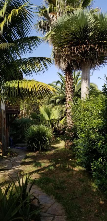 La Casita De La Vega