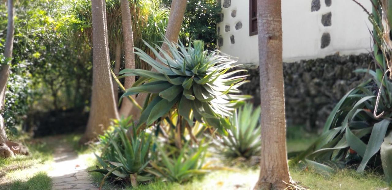La Casita De La Vega Apartamento Icod De Los Vinos