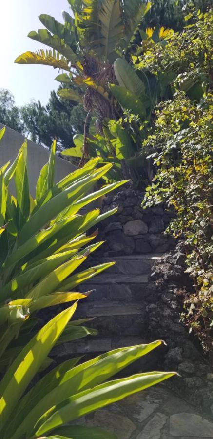 La Casita De La Vega
