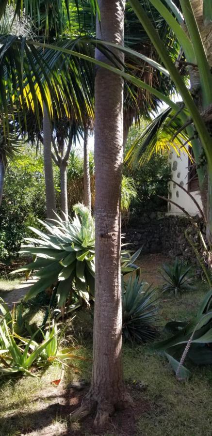 La Casita De La Vega Icod De Los Vinos