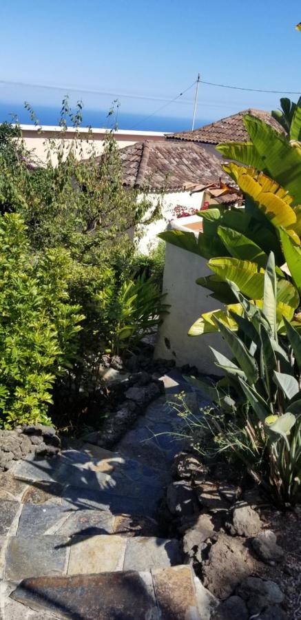 Apartamento La Casita De La Vega Icod De Los Vinos