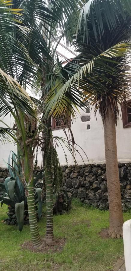 Apartamento La Casita De La Vega
