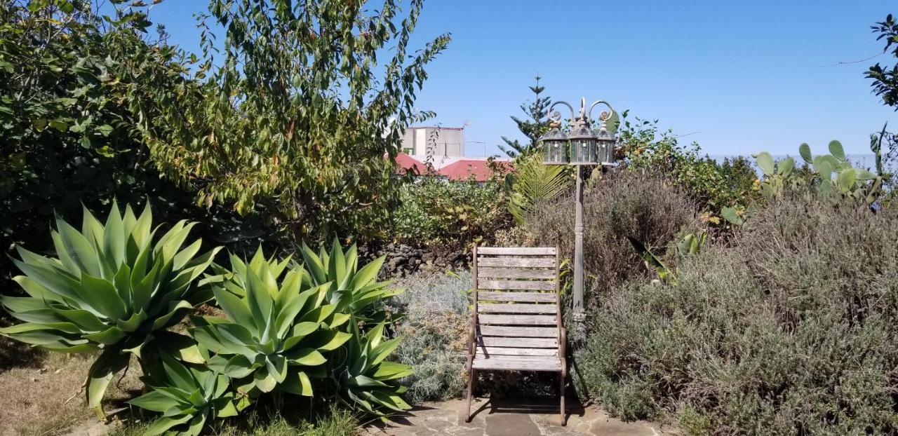 Apartamento La Casita De La Vega
